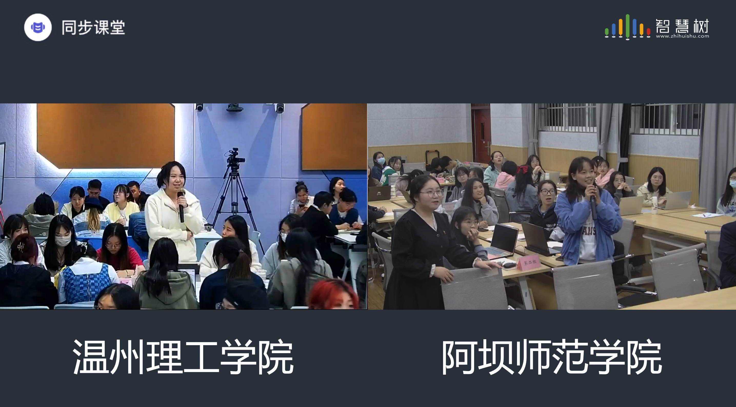 19e20216bb886699ac935e888d46694.png